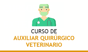 Curso de Auxiliar Quirúrgico Veterinario