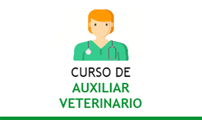 Curso de Auxiliar Veterinario