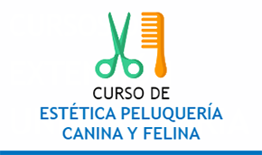 Curso de Estética Peluquería Canina y felina