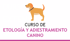 Curso de Etología y Adiestramiento Canino